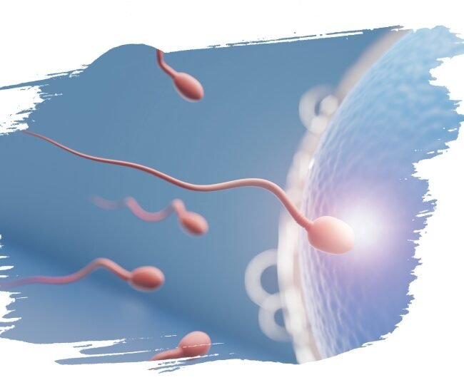 Fertilité 1