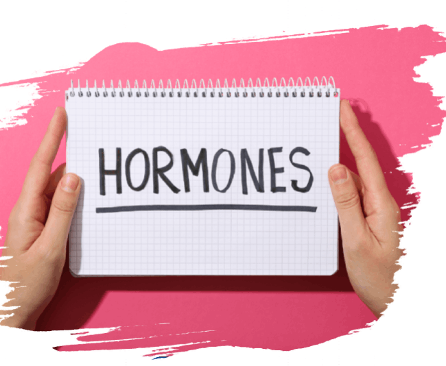 Hormones 4