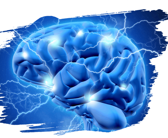 Polyvagale 2 Polyvagale 2