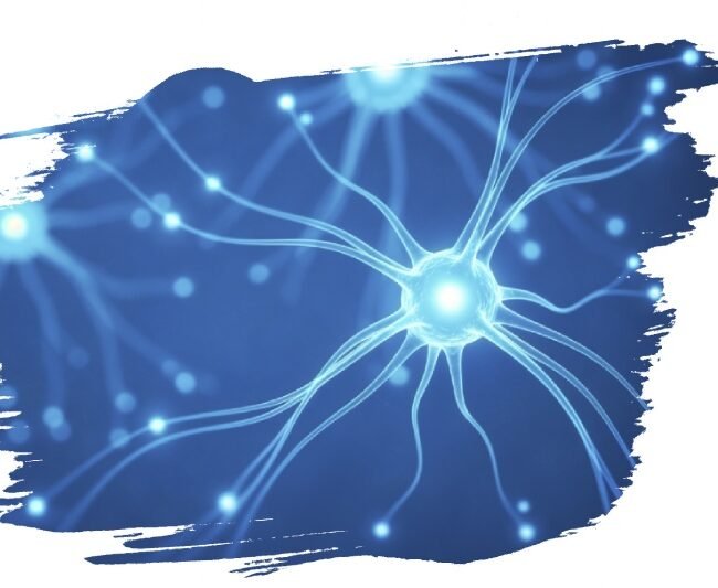 Polyvagale 3 Polyvagale 3