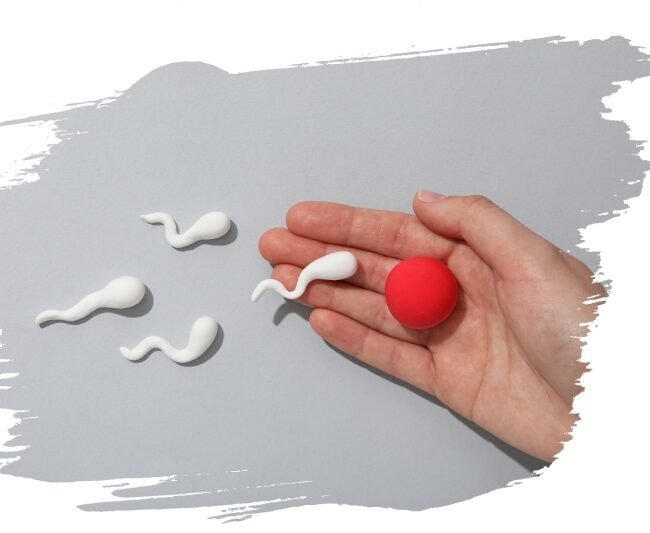 fertilité5 2