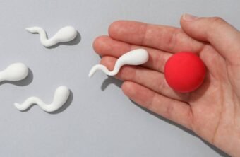 Blog-fertilité