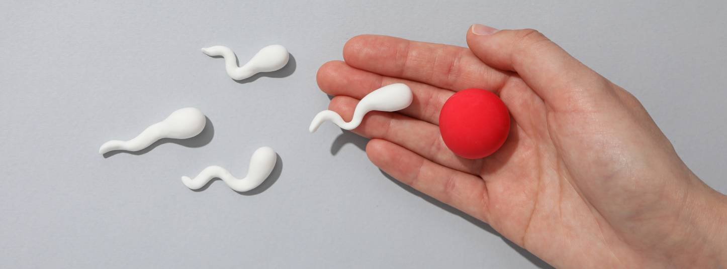 Blog-fertilité