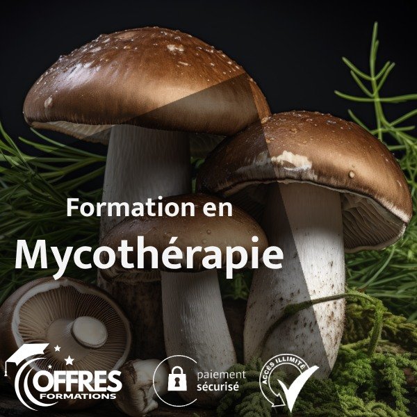 TH mycothérapie