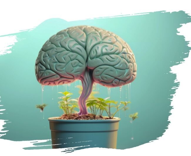 Neuro-végétatif 3 Neuro-végétatif 3