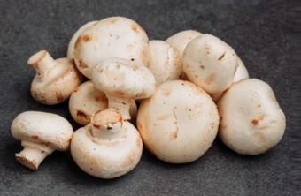 Blog-mycothérapie