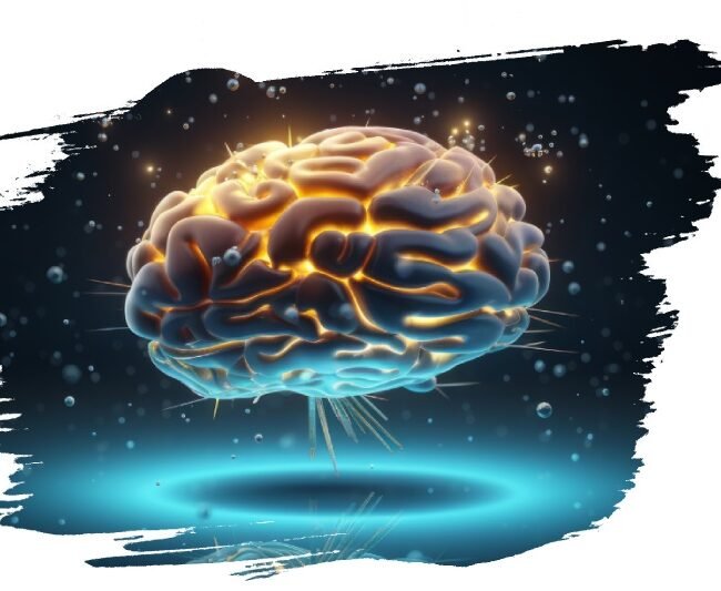 Neurochimie fonctionnelle 1 Neurochimie fonctionnelle 1