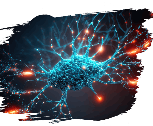 Neurochimie fonctionnelle 4 Neurochimie fonctionnelle 4