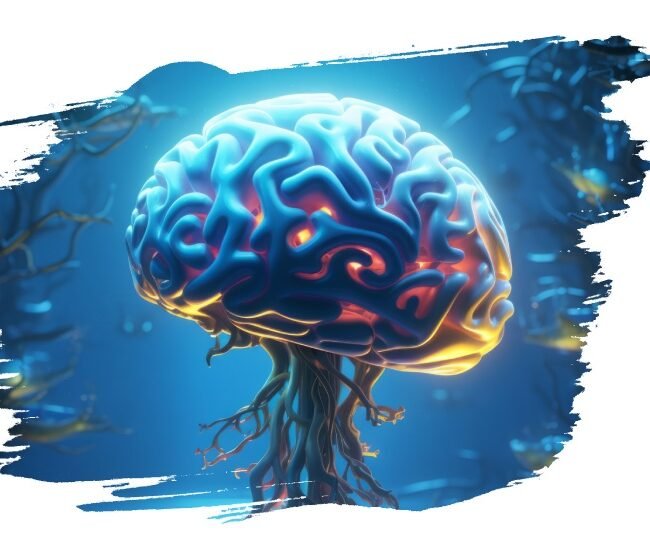 Neurochimie fonctionnelle 5 Neurochimie fonctionnelle 5