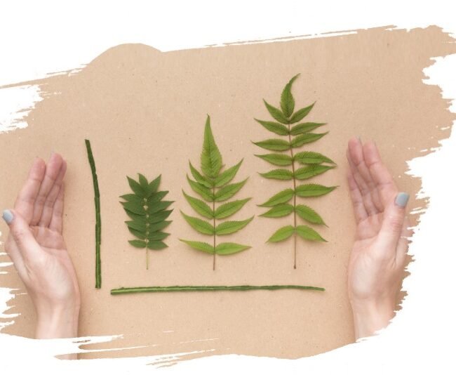 Ecotherapie 1 Ecotherapie 1