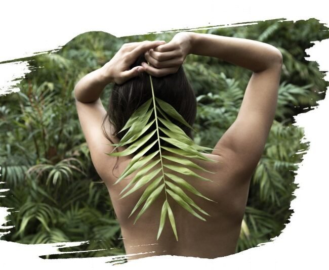 Ecotherapie 5 Ecotherapie 5