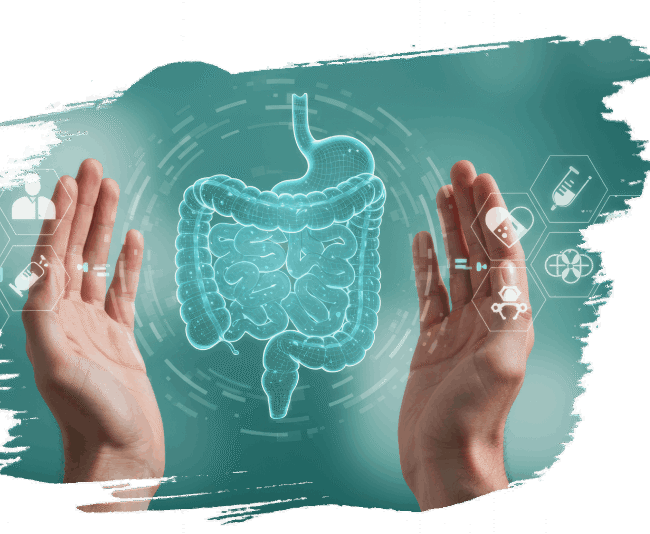 Santé Intestinale 4