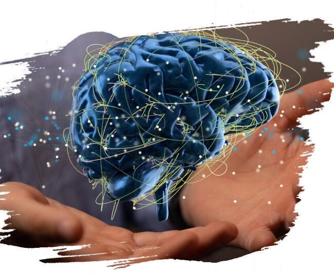 Neuroplasticité 2 Neuroplasticité 2