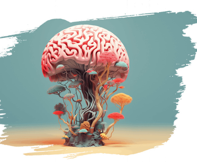 Neuroplasticité 4 Neuroplasticité 4